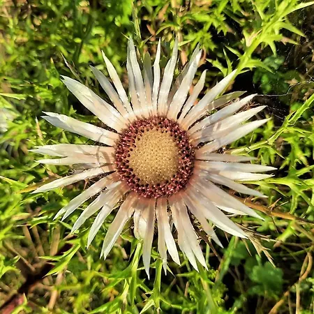 Hotel Gaestehaus Jaeger Gersfeld