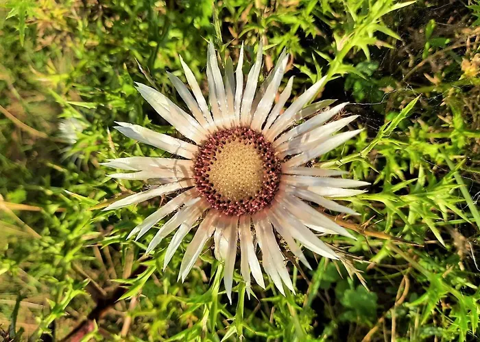 Отель Gaestehaus Jaeger Герсфельд