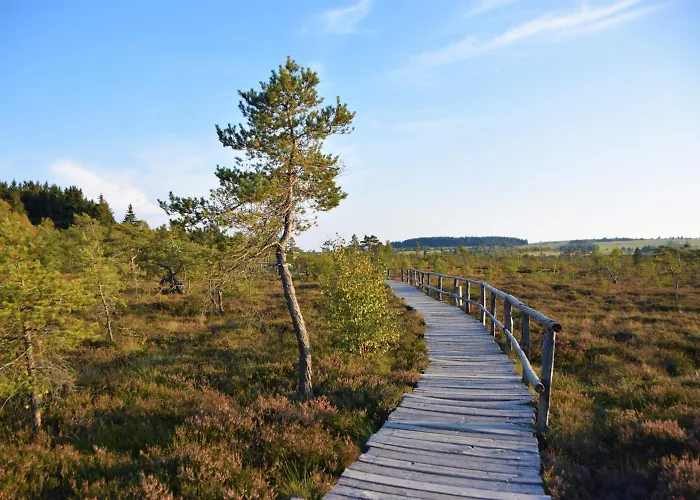 Gaestehaus Jaeger Герсфельд