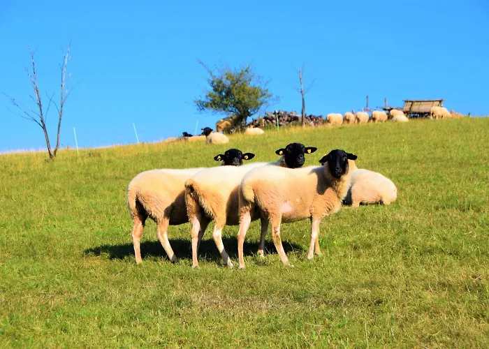 Отель Gaestehaus Jaeger 3*